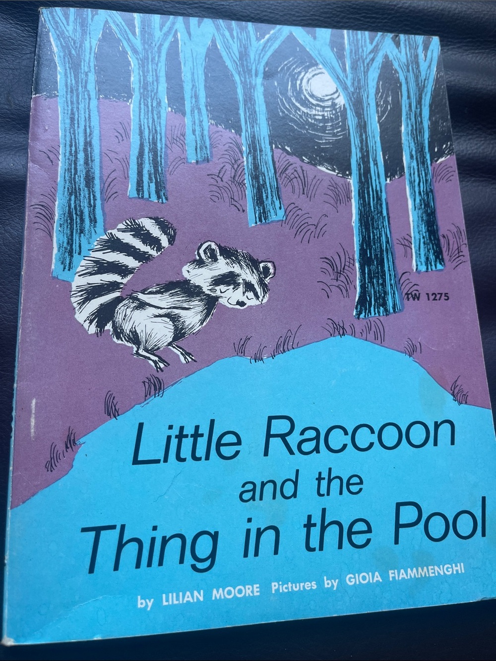 1975 Little Raccoon and the Thing in the Pool - Blue/Purple Kids Book *Vintage*